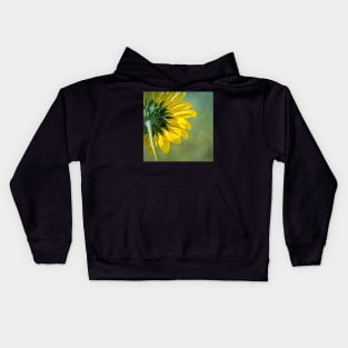 Sunny Backside of Prairie Sunflower by Debra Martz Kids Hoodie